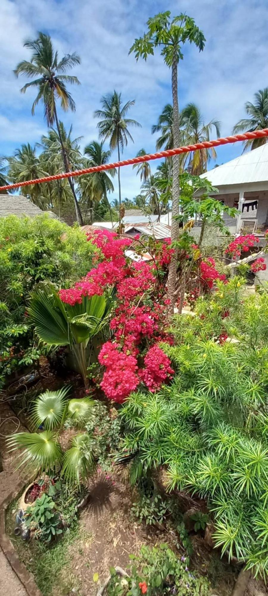 La Locanda Lodge - Apartment, 4 Double Rooms & Kitchen Near The Beach Jambiani  Exterior photo